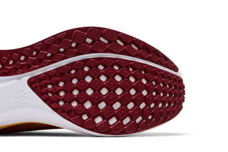 Кроссовки Nike Air Zoom Pegasus 41 'USC'