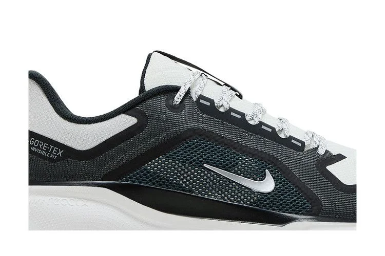 Krossovki-Nike-Air-Zoom-Pegasus-41-GORE-TEX-Iron-Grey-Summit-White-1