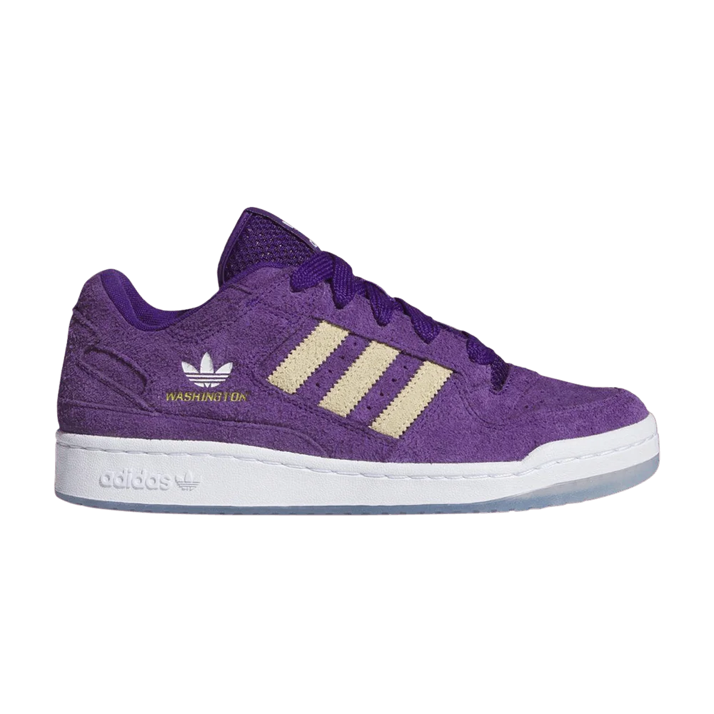 Krossovki-NCAA-x-adidas-Forum-Low-Washington-2025
