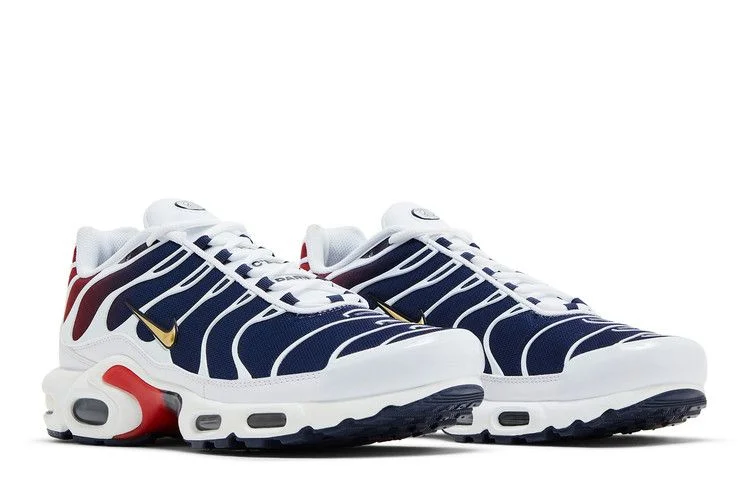 Krossovki-Paris-Saint-Germain-x-Nike-Air-Max-Plus-Home-Kit-7
