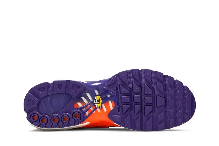 Кроссовки Nike Air Max Plus 'Color Flip'