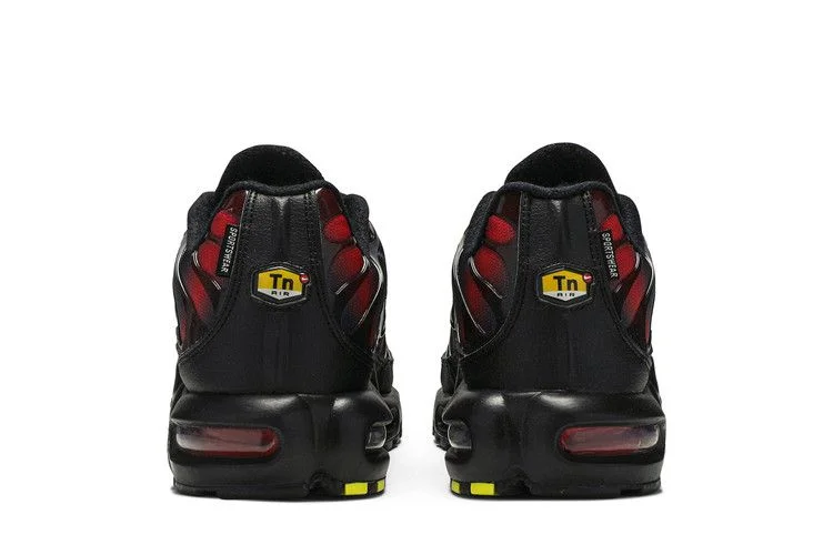 Кроссовки Nike Air Max Plus TN 'Black Multi'