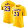 2018-19-LeBron-James-Lakers-Gold-Icon-Tee-100x100