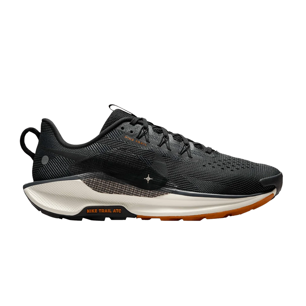 Кроссовки Nike Pegasus Trail 5 'Black Monarch'