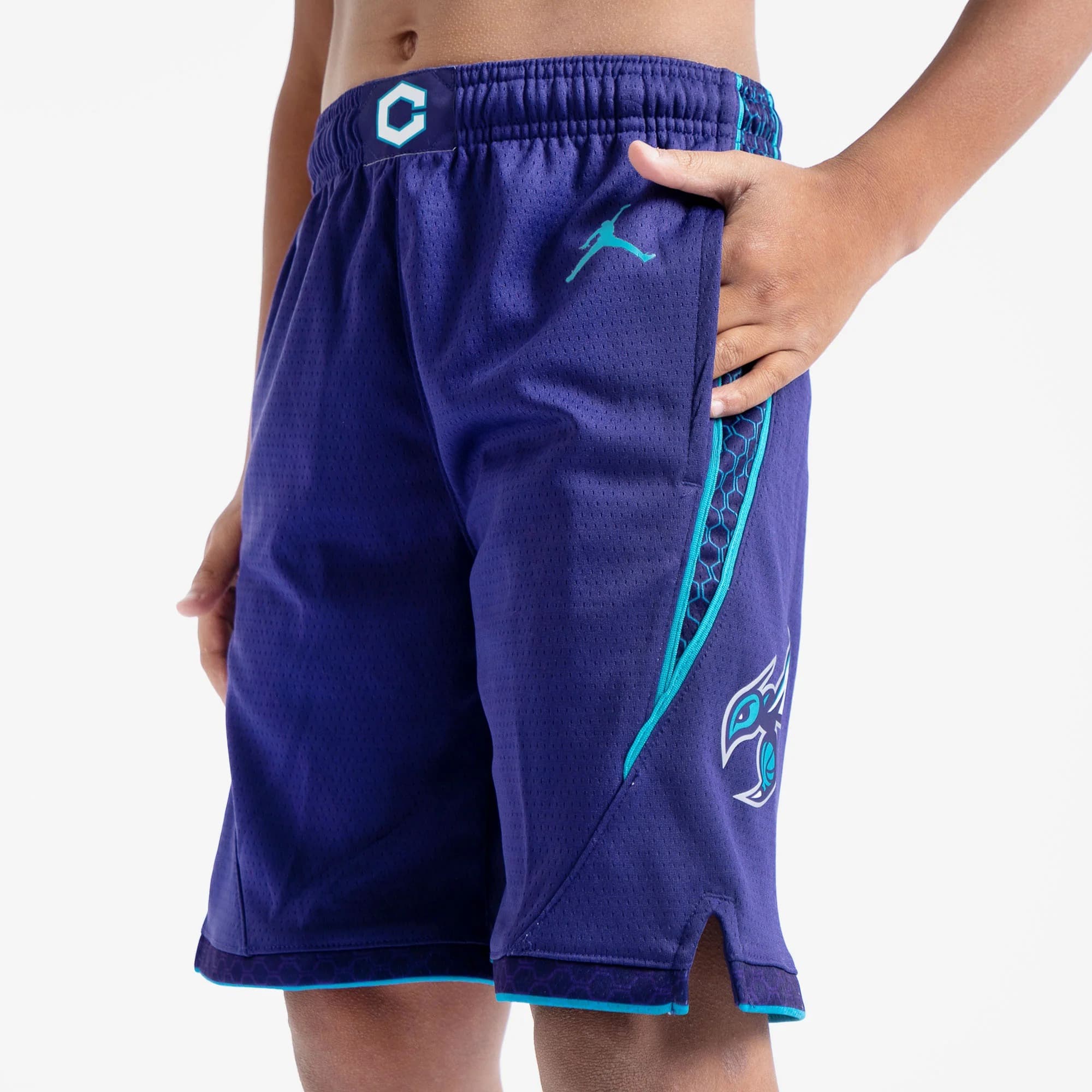 Спортивные шорты Nike Charlotte Hornets 2024 Statement Edition Swingman Youth NBA Shorts