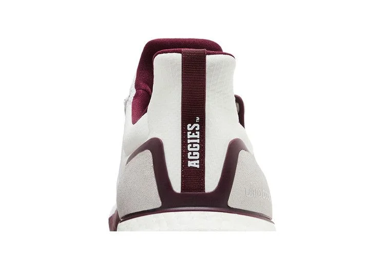 Кроссовки adidas UltraBoost 1.0 'NCAA Pack - Texas A&M'