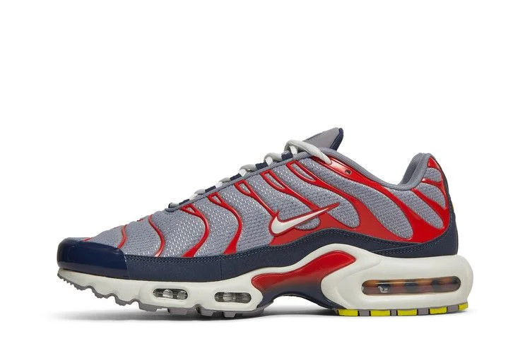 Кроссовки Nike Air Max Plus 'Grey USA'
