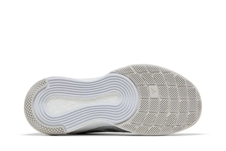 Кроссовки Adidas Wmns Crazyflight 'White Silver Metallic'