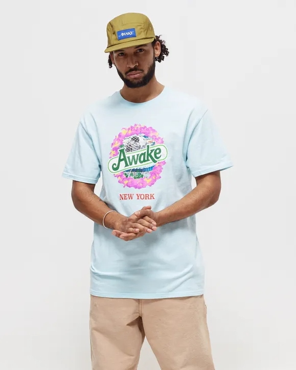 Футболка Awake Strawberry Kiwi T-shirt Glacier