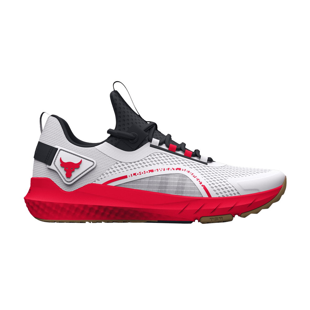 Кроссовки Under Armour Project Rock BSR 3 'UFC '23'