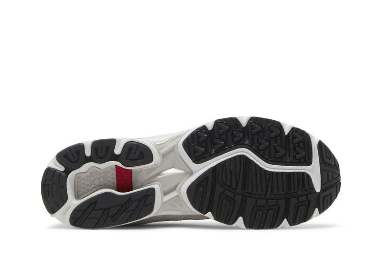 Кроссовки Mizuno Wave Rider 10 'Red Crowned Crane'