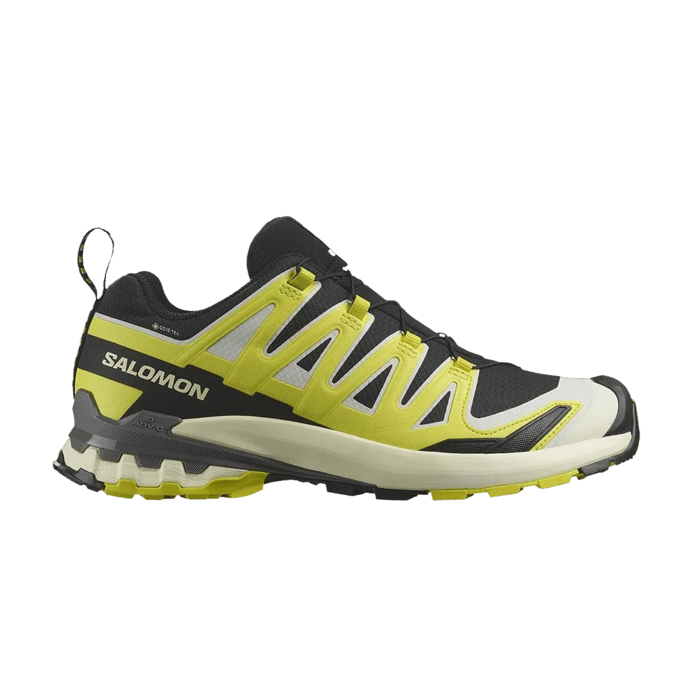 Кроссовки Salomon XA Pro 3D V9 GORE-TEX 'Black Sulfur Spring Pewter'
