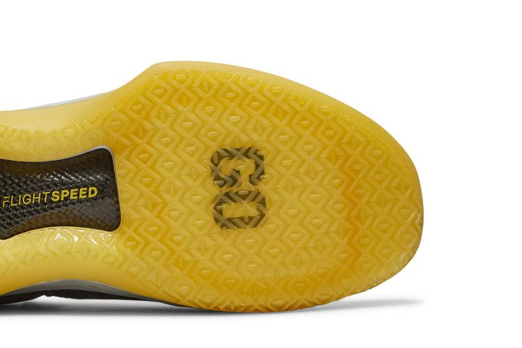 air-jordan-32-low-michigan-wolverines-aa1256-405_04