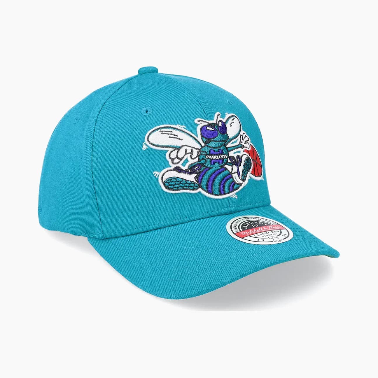 Mitchell-Ness-Charlotte-Hornets-Team-Ground-2.0-NBA-Snapback-Hat-2