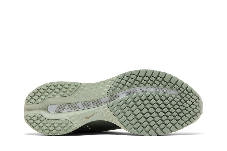 Кроссовки Nike Pegasus Premium 'Jade Horizon'