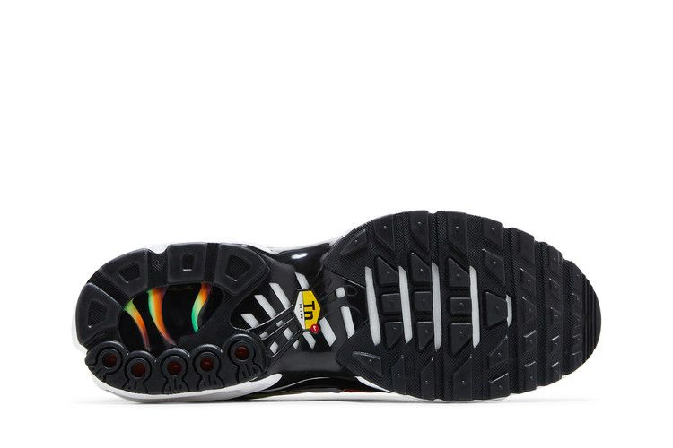 Кроссовки Nike Wmns Air Max Plus 'Rainbow'