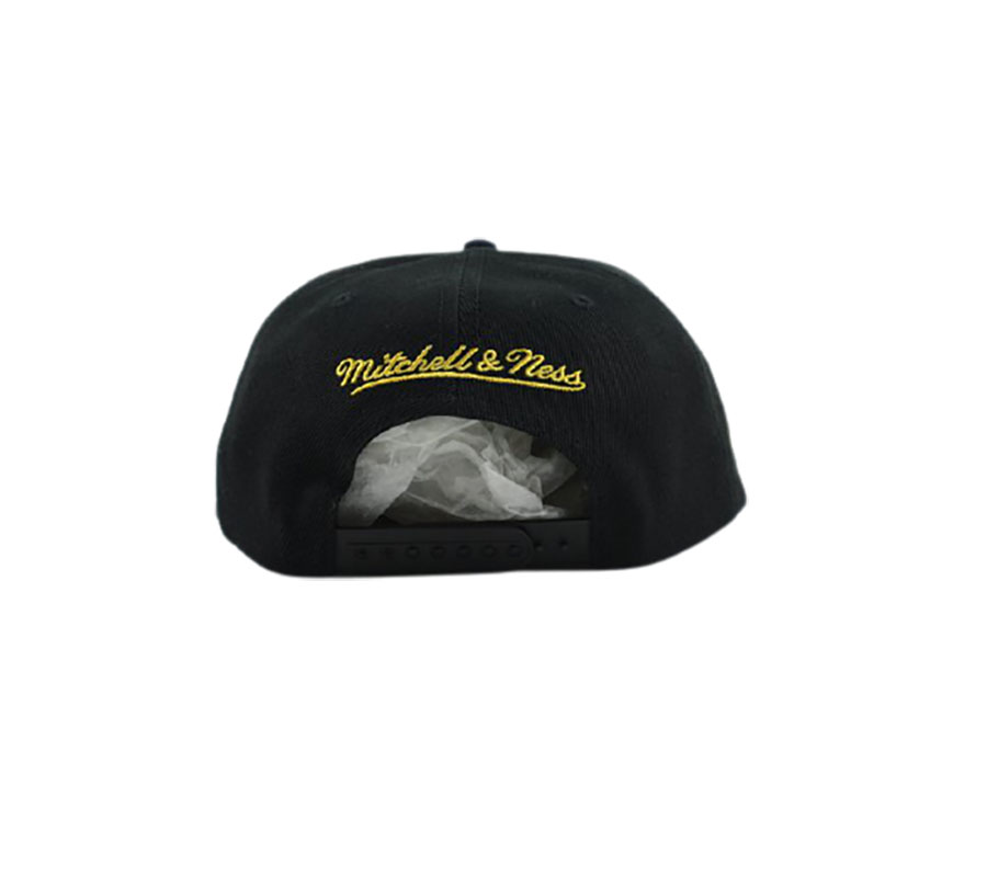 nba_cap_denver_nuggets_back