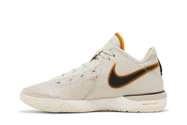 Кроссовки Nike Zoom LeBron NXXT Gen 'Da Vinci'