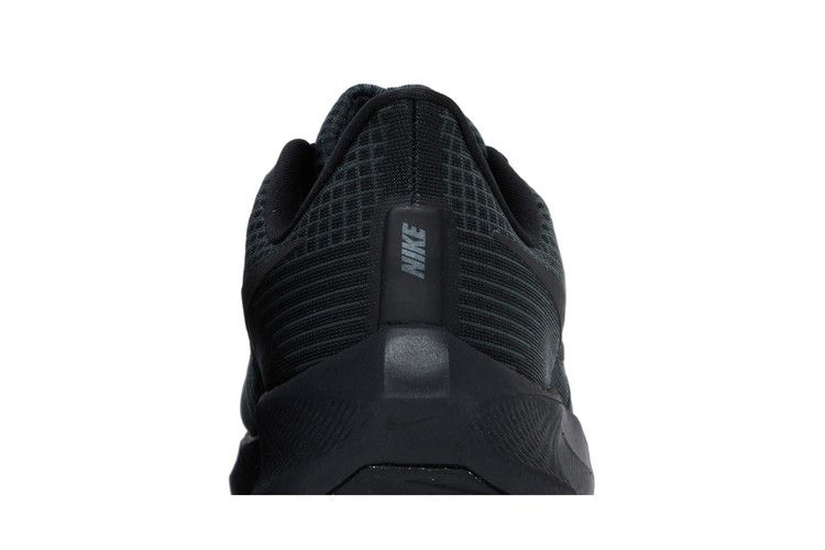Кроссовки Nike Air Zoom Pegasus 39 'Black Anthracite'