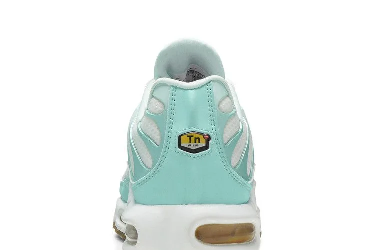 Кроссовки Nike Wmns Air Max Plus 'Teal Twist'