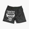 Chicago-Bulls-Apollo-Mesh-Team-Logo-NBA-Shorts-1-100x100