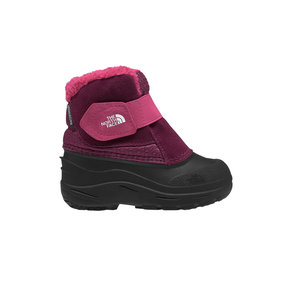 Кроссовки The North Face Alpenglow 2 Toddler 'Boysenberry Black'
