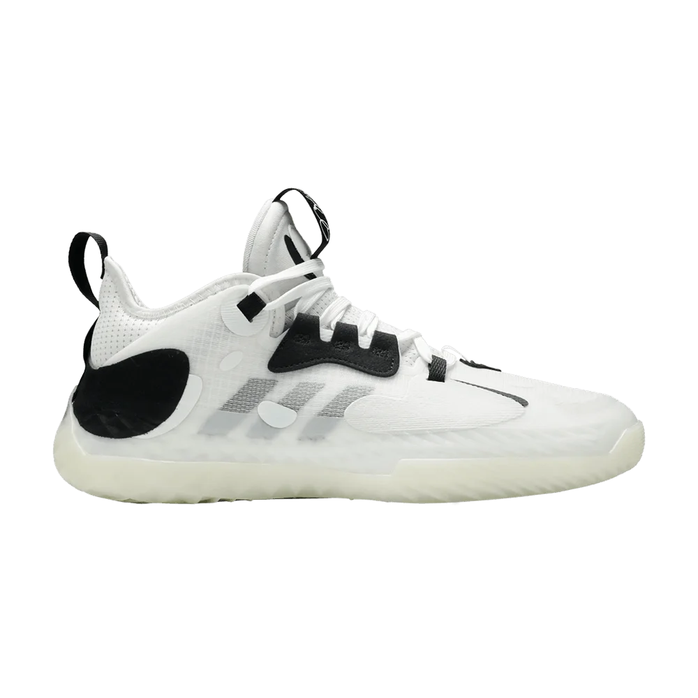 Krossovki-adidas-Harden-Vol.-5-Futurenatural-Welcome-to-BKLYN