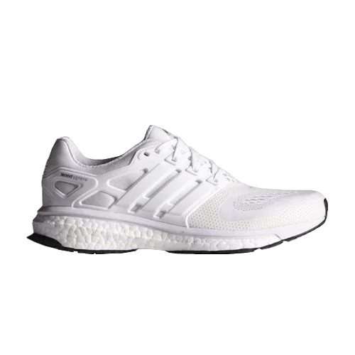 Кроссовки Adidas Wmns Energy Boost ESM
