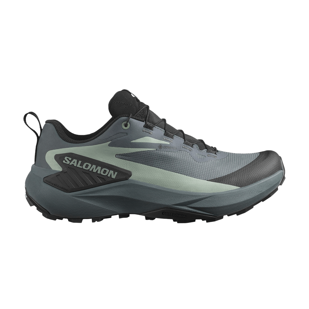 Кроссовки Salomon Wmns Genesis GORE-TEX 'Turbulence'