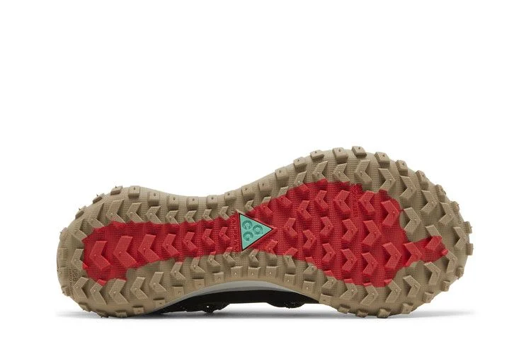 Кроссовки Nike ACG Mountain Fly Low SE 'Pilgrim'