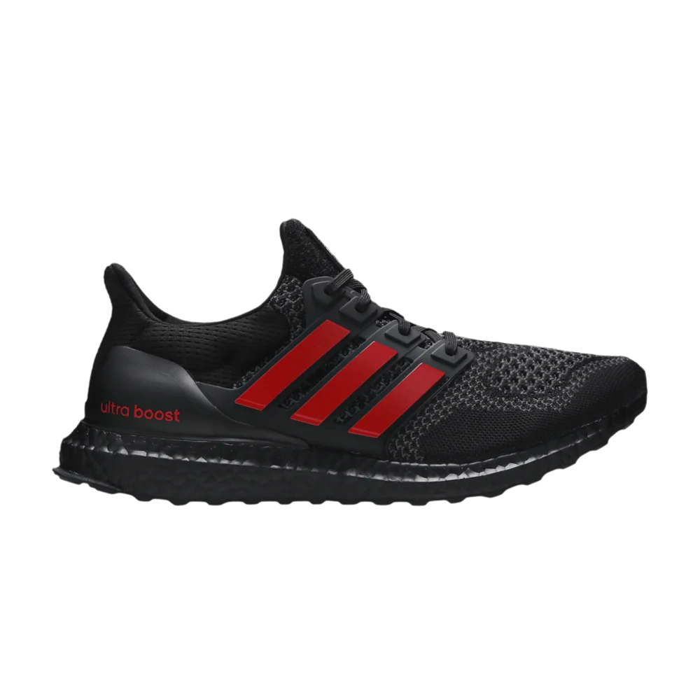 Krossovki-adidas-UltraBoost-1.0-NCAA-Pack-Louisville