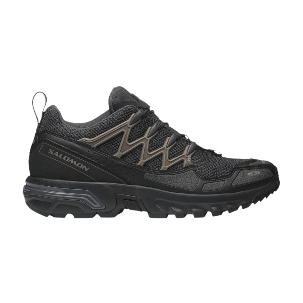 acs-seasonal-asphalt-black-falcon-l47568600
