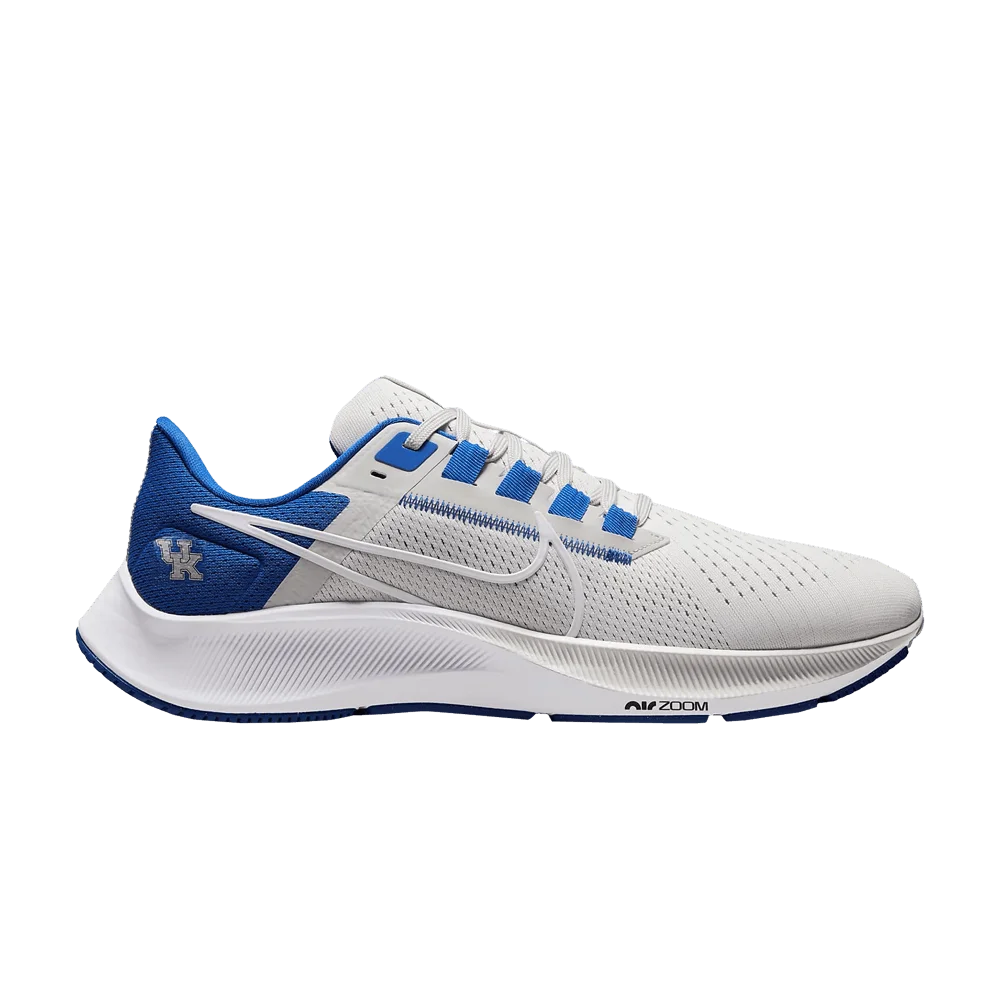 Кроссовки Nike Air Zoom Pegasus 38 'Kentucky'