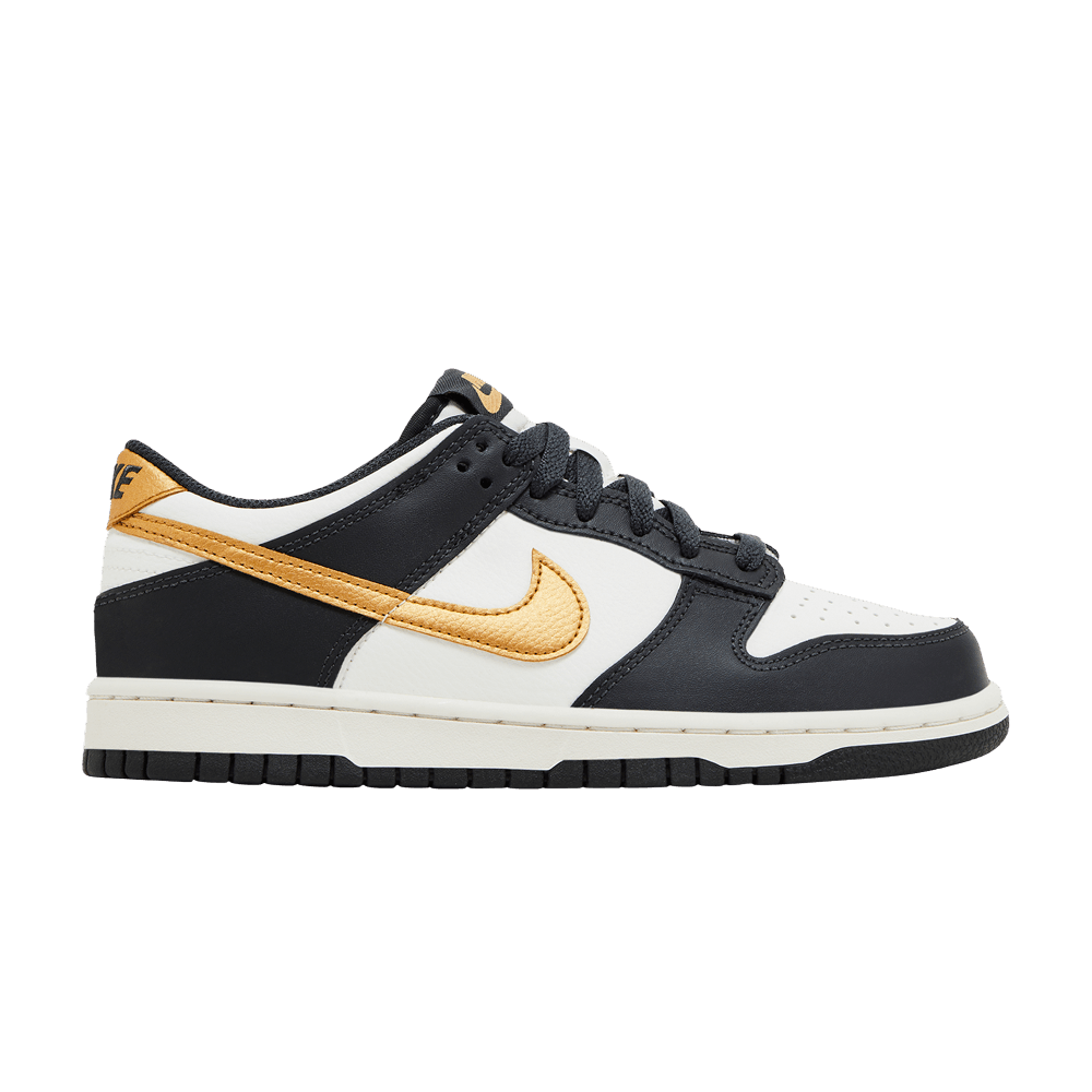 dunk-low-gs-anthracite-metallic-gold-hv2533-100