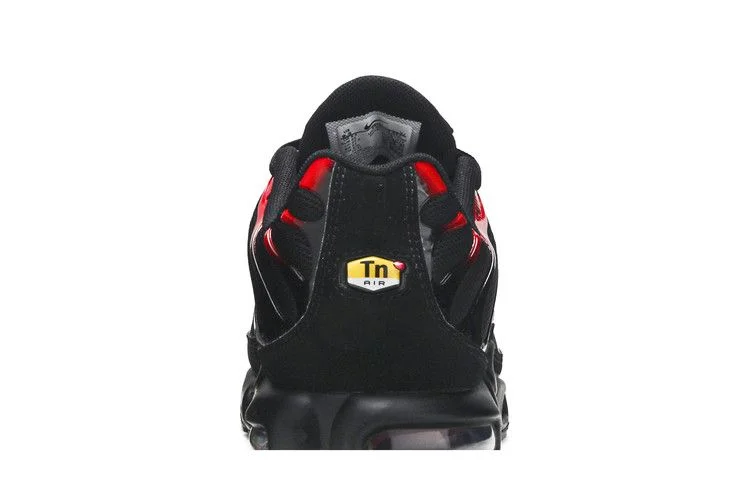 Кроссовки Nike Air Max Plus 'Black University Red Gradient'