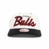 Mitchell-Ness-Chicago-Bulls-Team-Script-Golfer-NBA-Snapback-Hat-1-100x100