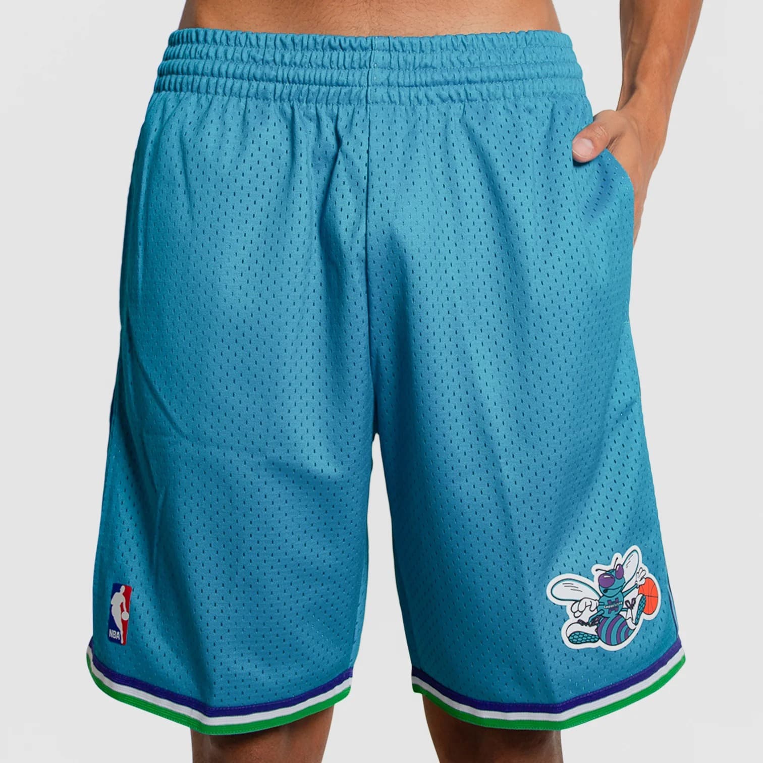 Спортивные шорты Mitchell & Ness Charlotte Hornets 1999-00 Hardwood Classics Throwback Swingman NBA Shorts