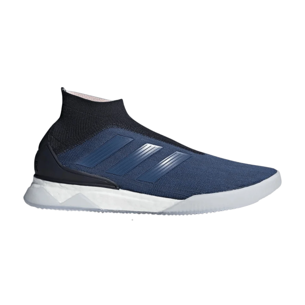 Krossovki-Adidas-Predator-Tango-18-Trace-Royal