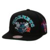 Mitchell-Ness-My-Squad-Snapback-HWC-Charlotte-Hornets-Hat-100x100