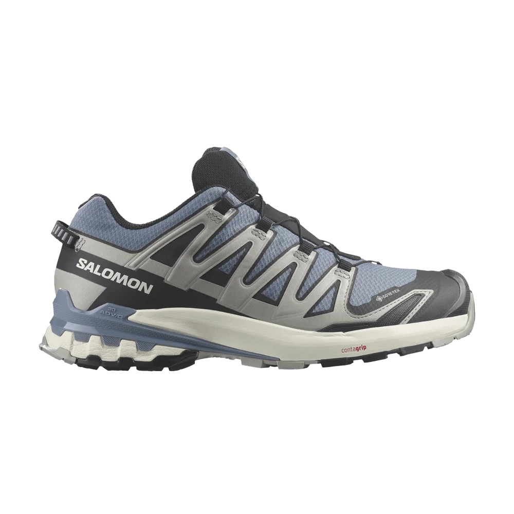 Кроссовки Salomon XA Pro 3D V9 GORE-TEX 'Flint Stone Ghost Grey'