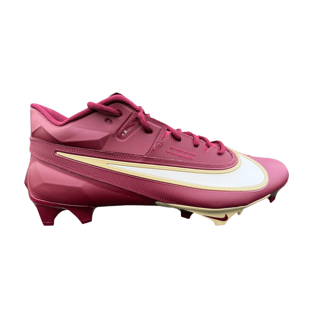 Кроссовки Nike Vapor Edge Elite 360 2 SMU Wide 'Florida State' PE