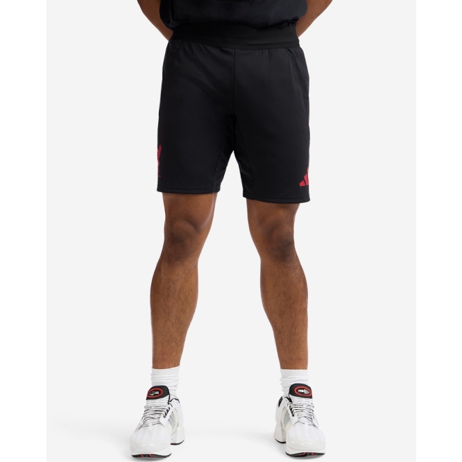 Футбольные шорты Liverpool FC adidas Mens 25/26 Authentic Away Shorts