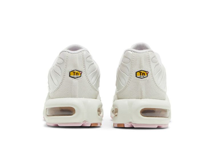 Кроссовки Nike Wmns Air Max Plus 'Vast Grey Metallic Copper'