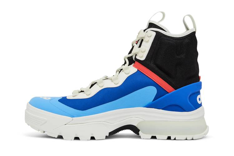 Кроссовки Nike ACG Zoom Gaiadome GORE-TEX 'Hyper Royal Black'