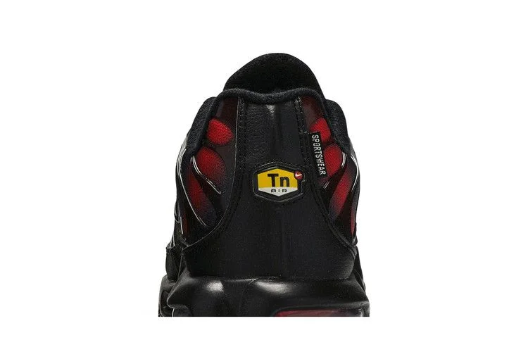 Кроссовки Nike Air Max Plus TN 'Black Multi'