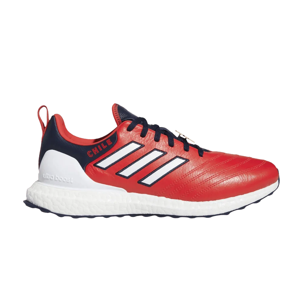 Krossovki-Adidas-Copa-UltraBoost-DNA-World-Cup-Chile