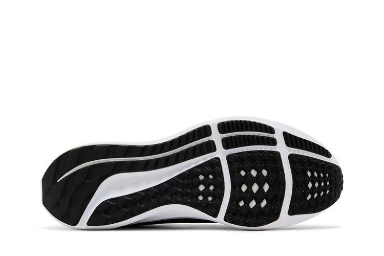 Кроссовки Nike Wmns Air Zoom Pegasus 39 TB 'Black White'