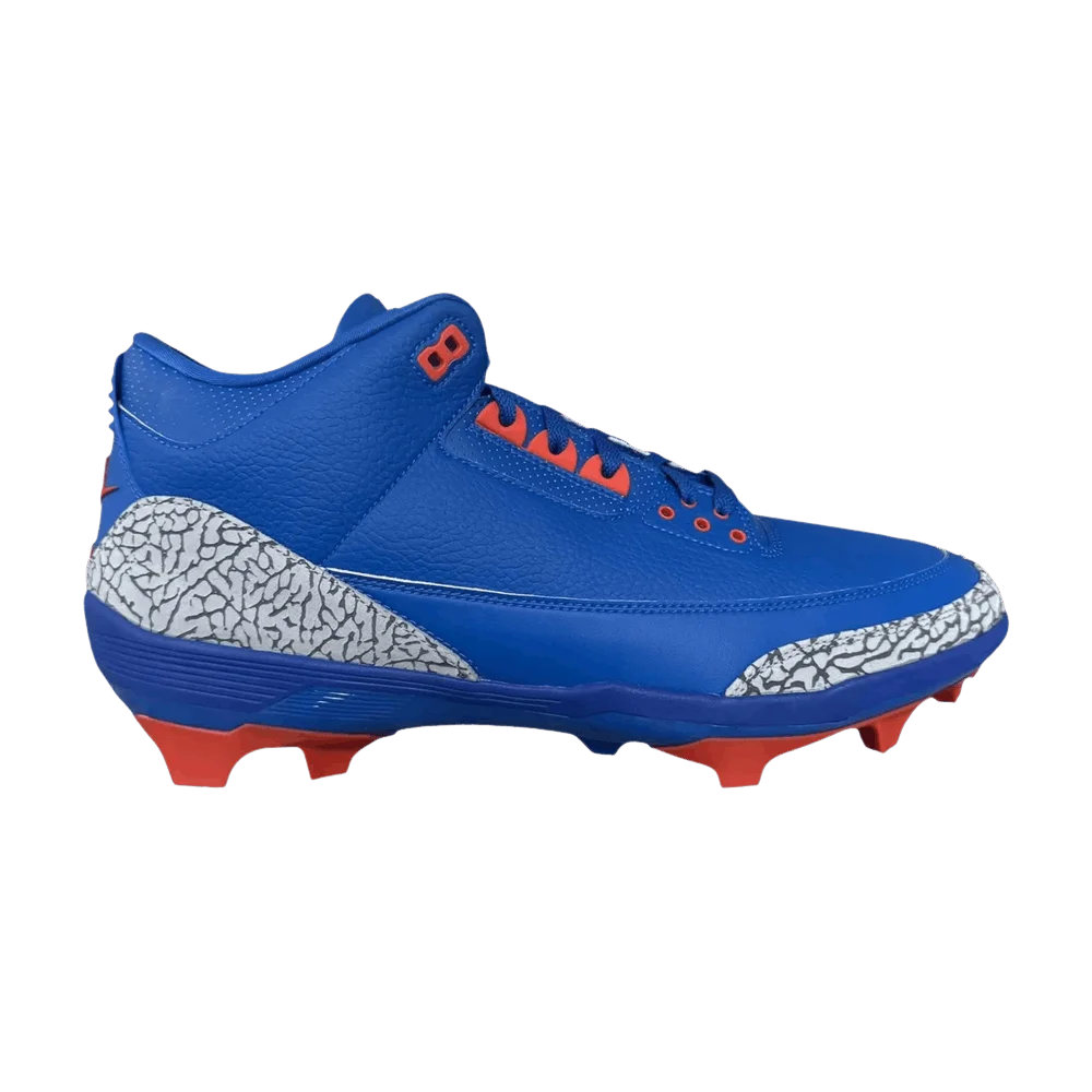 Krossovki-Nike-Jordan-3-Force-Savage-Florida-Gators-PE