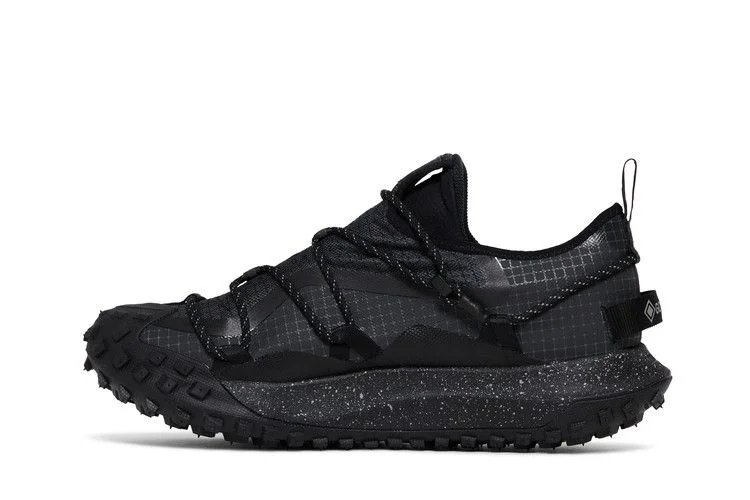 Кроссовки Nike ACG Mountain Fly Low GTX SE 'Dark Smoke Grey'