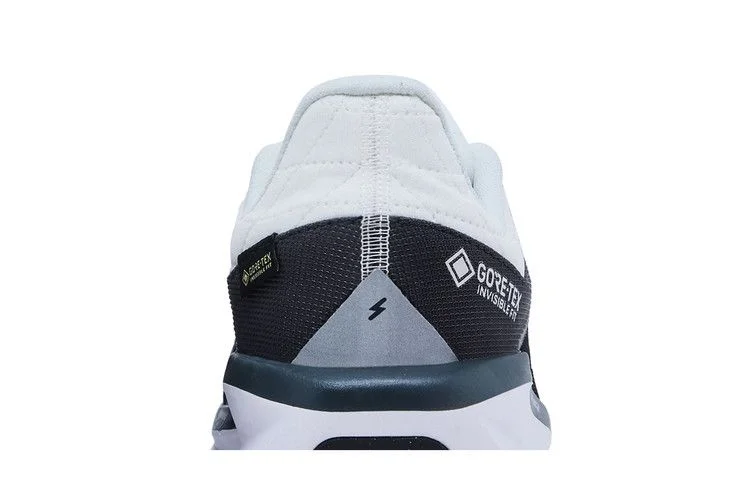 Кроссовки Nike Air Winflo 11 GORE-TEX 'Anthracite'